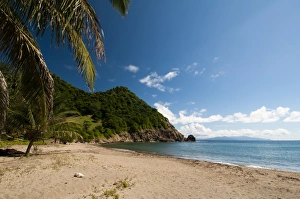 Iles Des Saintes Prints: Plage du Figuier, Iles des Saintes
