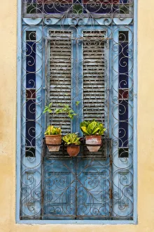 Shutters Prints: Plants in pots hanging on ornate doorway, Havana, Cuba, West Indies, Central America