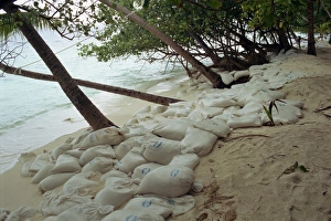 Bags Prints: Plastic bags filled with sand as erosion control