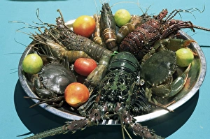 Sinelese Prints: Plate of seafood