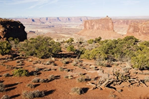 Arid Landscape Prints: Plateau and canyons at Island in the Sky