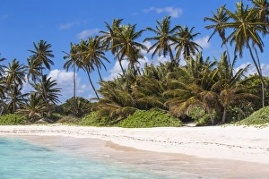 Playa Blanca Prints: Playa Blanca, Punta Cana, Dominican Republic, West Indies, Caribbean, Central America