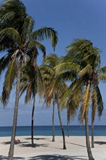 Images Dated 13th February 2009: Playa del Este, Havana, Cuba, West Indies, Central America
