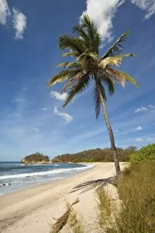 Images Dated 12th December 2009: Playa Pelada, Nosara, Nicoya Peninsula, Guanacaste Province, Costa Rica, Central America