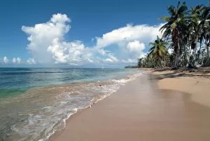 Playa Portillo, Las Terrenas, Samana, Dominican Republic, West Indies, Caribbean, Central America