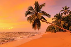 Playa Uva; Caribbean, Costa Rica, Latin America