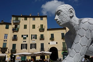 Hexagonal Prints: Plaza Anfiteatro, Lucca, Tuscany, Italy, Europe