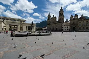Large Group Of Animals Gallery: Plaza Bolivar, Bogota, Colombia, South America