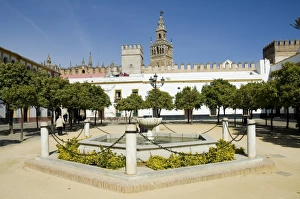 Plaza just outside the exit to the Real Alcazar with
