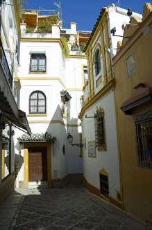 Santa Cruz Prints: Plaza de la Alianza