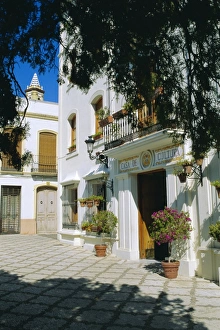 Plaza las Flores