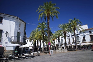 Plaza Mayor Prints: The Plaza Mayor, Zafra, Andalucia, Spain, Europe