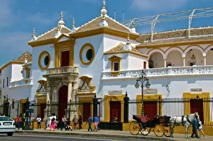 Plaza de Toros, Seville, Andalusia, Spain, Europe