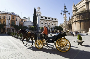 Santa Cruz Prints: Plaza Virgen de los Reyes