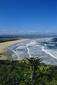 Plettenberg Bay