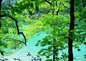 Plitvice Lakes National Park, UNESCO World Heritage Site, Croatia, Europe