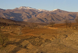 Anti Atlas Prints: Ploughed fields and the Siroua Massif