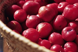Produce Prints: Plums from the market, Stone Town, island of Zanzibar, Tanzania, East Africa, Africa