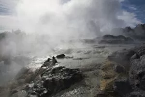 Pohutu geyser erupting steaming water from sulphurous mud and rock in Te Puia