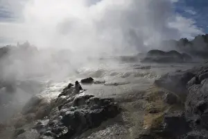 Mother Nature Prints: Pohutu geyser erupting steaming water from sulphurous mud and rock in Te Puia