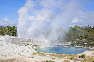 The Pacific Prints: Pohutu geyser and Prince of Wales Feathers geyser, Te Puia, Whakarewarewa Thermal Valley