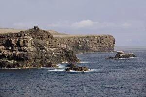 Images Dated 16th January 2009: Point Suarez, Espanola Island, Galapagos, Ecuador, South America