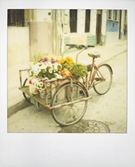 Polaroid Prints: Polaroid of tricycle loaded with flowers for sale, Havana, Cuba, West Indies