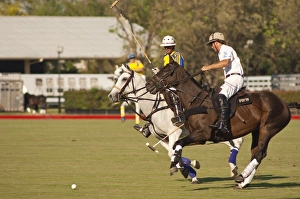 Images Dated 19th October 2008: Polo, Houston, Texas, United States of America, North America