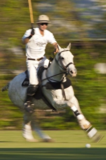 Images Dated 19th October 2008: Polo, Houston, Texas, United States of America, North America