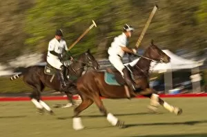 Images Dated 19th October 2008: Polo, Houston, Texas, United States of America, North America