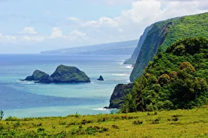 Lush Prints: Pololu Valley, Kapaau coast, Big Island, Hawaii, United States of America