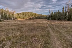 Trail Prints: Pond in Little Pleasant Valley surrounded by trees and grass in the Kaibab National Forest