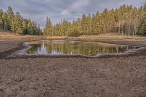 Canyon Prints: Pond in Little Pleasant Valley surrounded by trees in the Kaibab National Forest Arizona