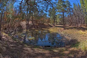 One of three ponds called the Hearst Tanks, on Grand Canyon South Rim, located one mile east of Grandview Point, Grand Canyon National Park, UNESCO World Heritage Site, Arizona, United States of America, North America