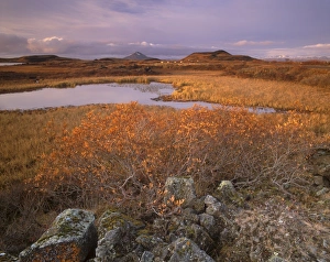 Craters Prints: Ponds, pseudo-craters, Mount Hlidarfjall, 771 m, in the distance, from near Skutustadir