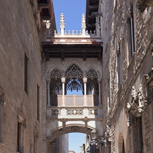 Pont del Bispe Bridge over Carrer del Bispe street, Palau de la Generalitat, Barri Gotic