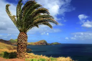 Waterscape Prints: Ponta de Svo Lourenvo, Madeira