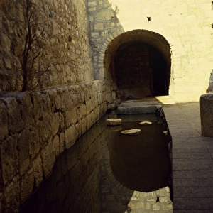 Pool of Shiloh