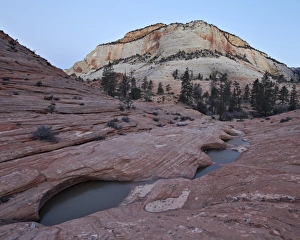 Pools Prints: Pools in slick rock at dawn, Zion National Park