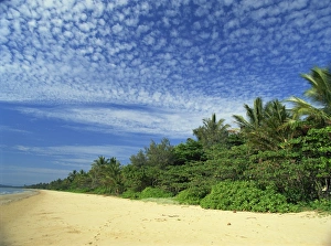 Queens Land Prints: Popular Mission Beach on the northeast coast, east of Tully, Queensland