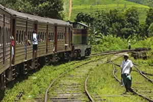 Carriage Prints: The popular scenic train ride through the tea growing hill country, here between Hatton