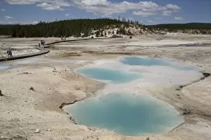 Geothermal Gallery: Porcelain Basin, Norris Geyser Basin, Yellowstone National Park, UNESCO World Heritage Site, Wyoming