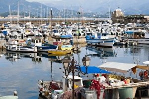 Large Group Prints: The port, Ajaccio, Corsica, France, Mediterranean, Europe