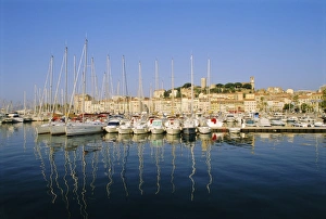 Cannes Prints: The Port, Cannes, Cote d Azur, Provence, France