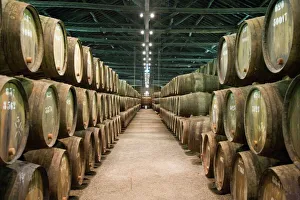 Industry Prints: Port casks in the Caves Taylor port producers