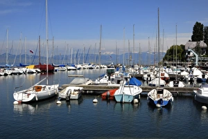 Lake Geneva Prints: Port des Mouettes