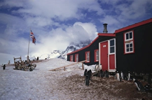 Huts Prints: Port Lockroy hut, British station built in 1944, Antarctic Peninsula, Antarctica