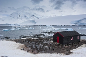 Images Dated 3rd December 2008: Port Lockroy research station, Antarctica, Polar Regions
