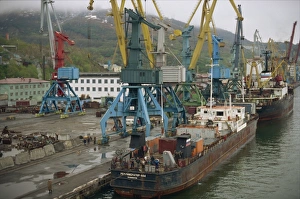 Cranes Prints: Port of Petropavlovsk, Kamchatka Peninsula, Russian Far East, Russia, Europe