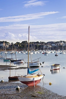 Ports Prints: Port of Ploumanach, Cote de Granit Rose, Cotes d Armor, Brittany, France, Europe